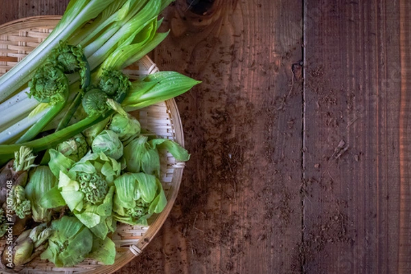 Fototapeta 新鮮な山菜