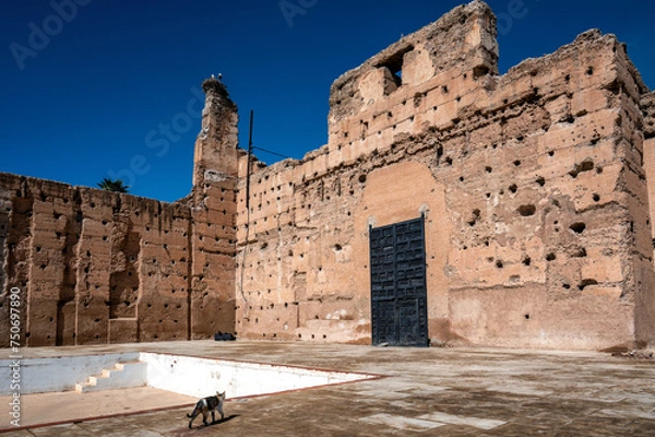 Obraz Cat walking past the ruins of Badi Palace in Marrakesh, Morocco
