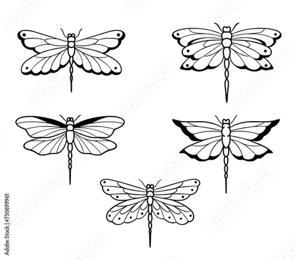 Fototapeta Dragonfly outline symmetrical Vector SVG