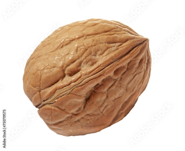 Fototapeta Walnut whole isolated on transparent layered background.