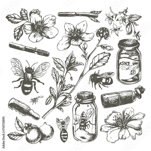 Fototapeta honey seamless pattern. Vintage hand drawn background illustration vector