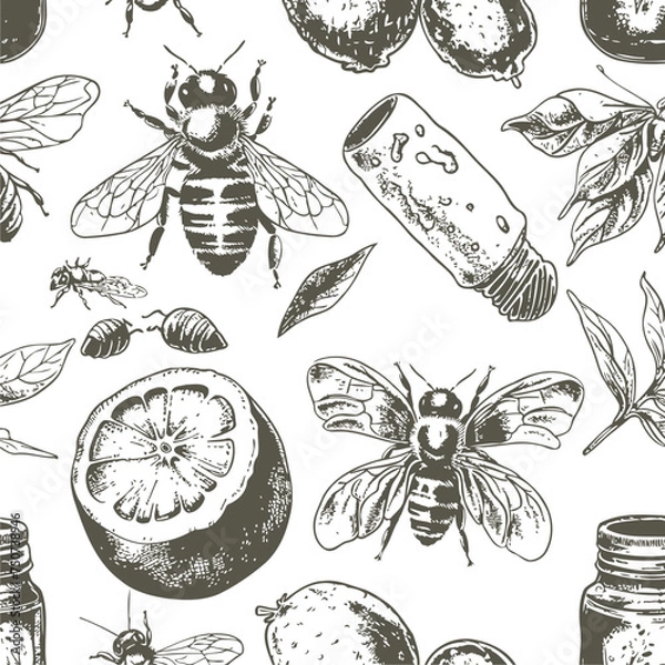 Fototapeta honey seamless pattern. Vintage hand drawn background illustration vector