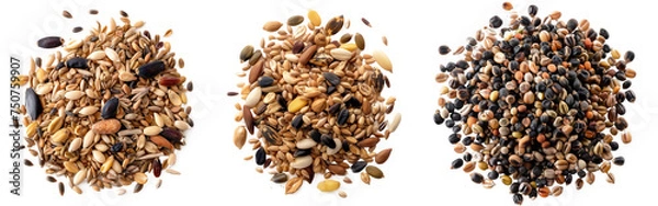 Obraz Variety of mixed bird seeds isolated on transparent background. mixed bird seeds against a transparent background
