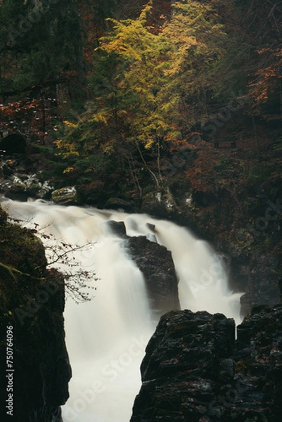 Obraz waterfall in the forest