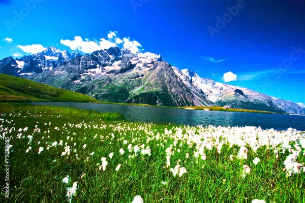 Obraz LAC  PARC DES ECRINS