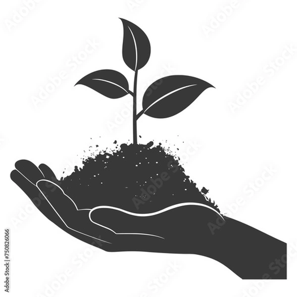 Fototapeta Silhouette Two Hand holding soil with growing sprout black color only