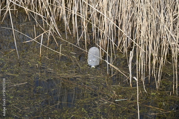 Fototapeta Déchet plastique dans un étang avec des roseaux