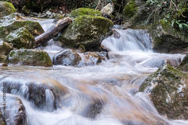 Fototapeta L'Alloix.