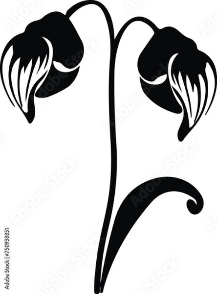 Fototapeta ladys slipper  silhouette