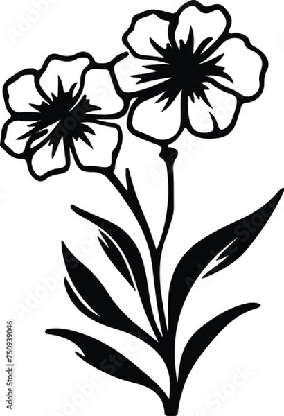 Obraz phlox  silhouette