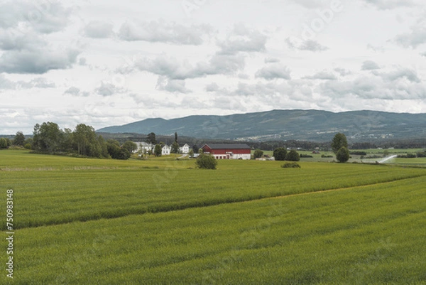Obraz Summer clouds over the fields of Toten, Norway.
