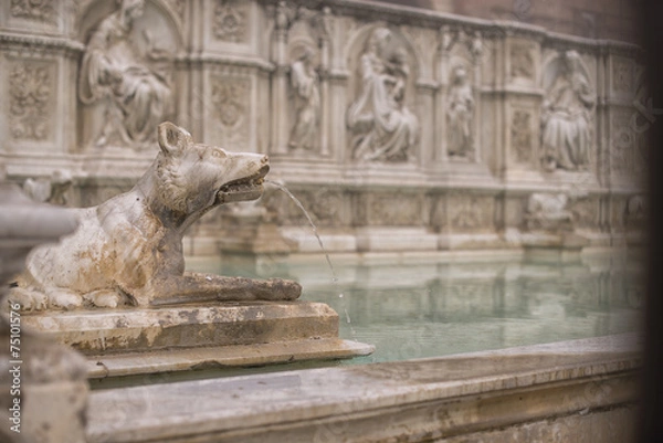 Fototapeta Fonte Gaia (Siena)
