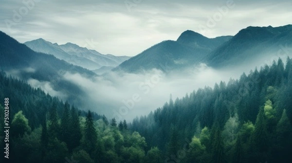 Obraz a foggy mountain range with trees and mountains