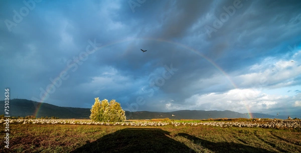 Obraz Pełna tęcza w Agamon Hula