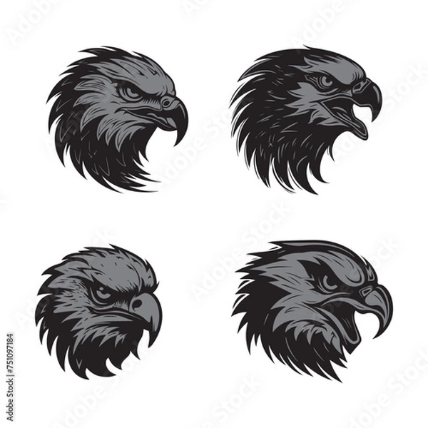Fototapeta Eagle head vector silhouette illustration
