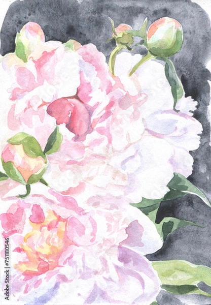 Obraz Watercolor peonies background