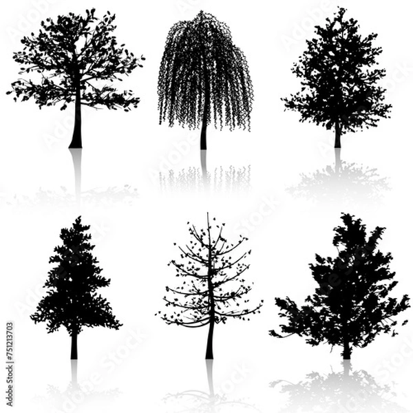 Obraz set of trees