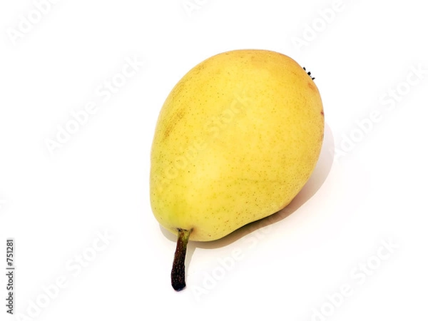 Fototapeta pear