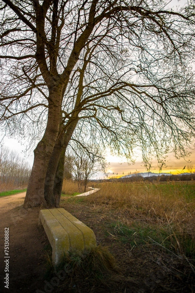 Obraz Árbol i banco