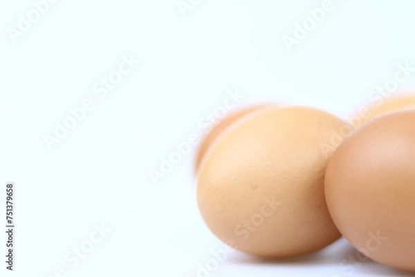 Obraz egg