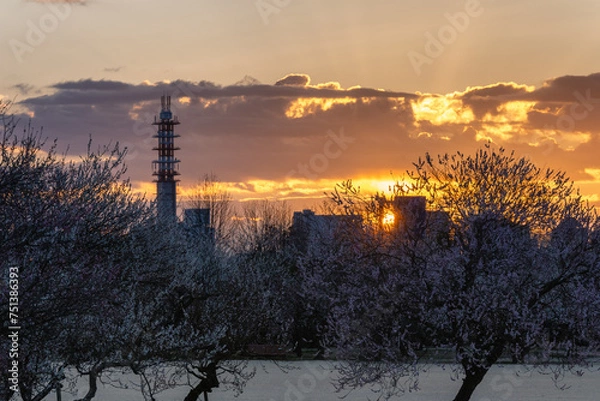 Obraz 茨城県水戸市　梅咲き誇る偕楽園