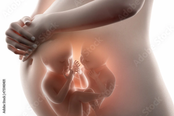 Obraz Koncepcja płodu