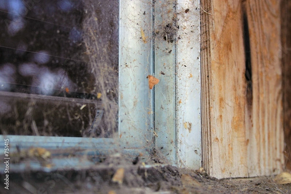 Fototapeta window sill