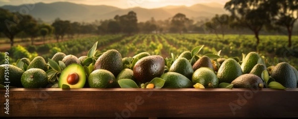 Obraz Fresh ripe bio avocados from farm in wooden box,  food bannner. Generative Ai.