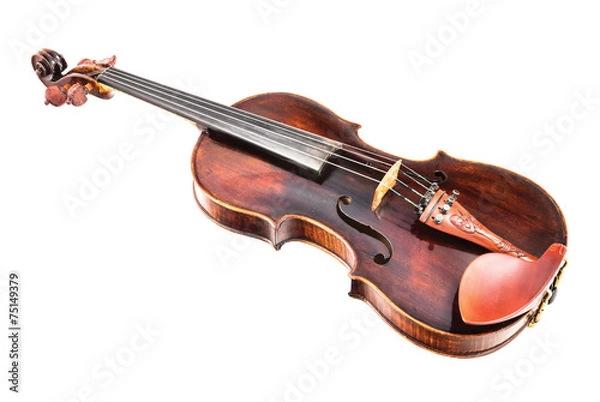 Obraz Violin or fiddle