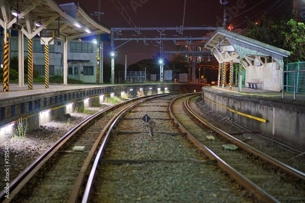 Fototapeta train in the station