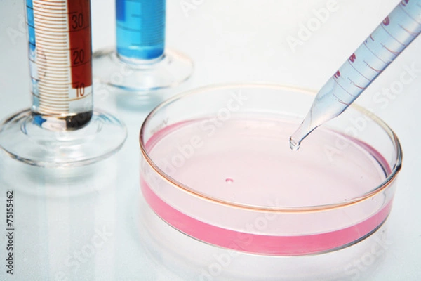 Obraz 과학 실험 도구