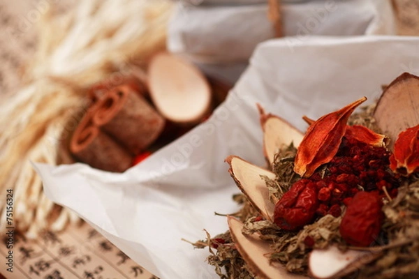 Obraz 한국 전통 한약 재료 