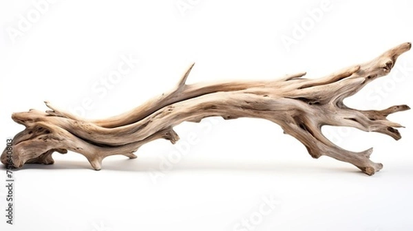 Fototapeta Beautiful winding driftwood for product photography. Grape branch on a table with beautiful sunlight, photo. High quality photo