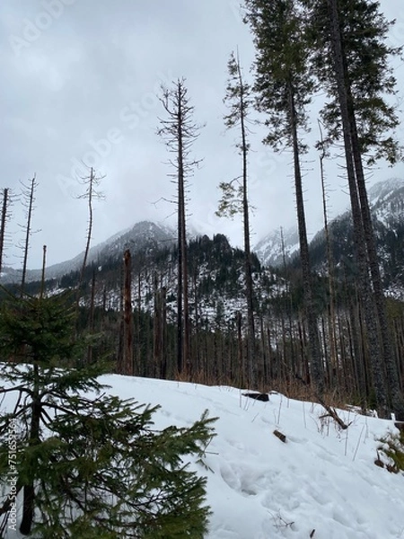 Obraz Moody mountains 