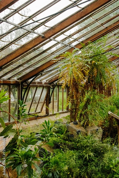 Obraz greenhouse with plants