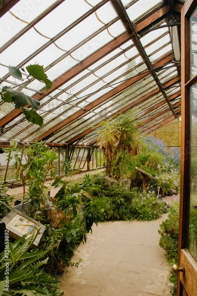 Obraz Greenhouse 