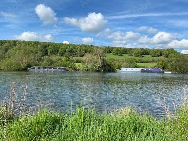 Obraz landscape with river and blue sky