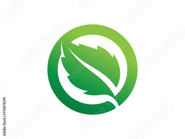 Obraz Leaf logo gradient colorful design. leaf logo vector