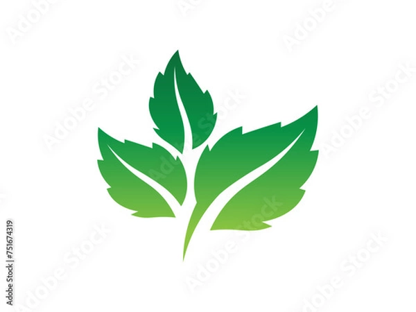 Obraz Leaf logo gradient colorful design. leaf logo vector