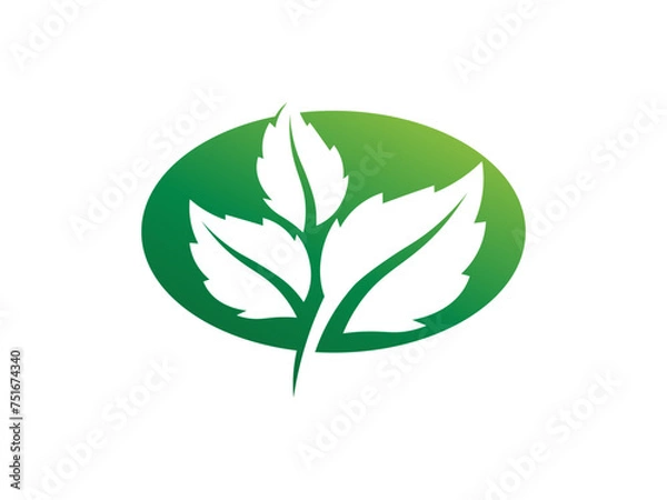 Obraz Leaf logo gradient colorful design. leaf logo vector