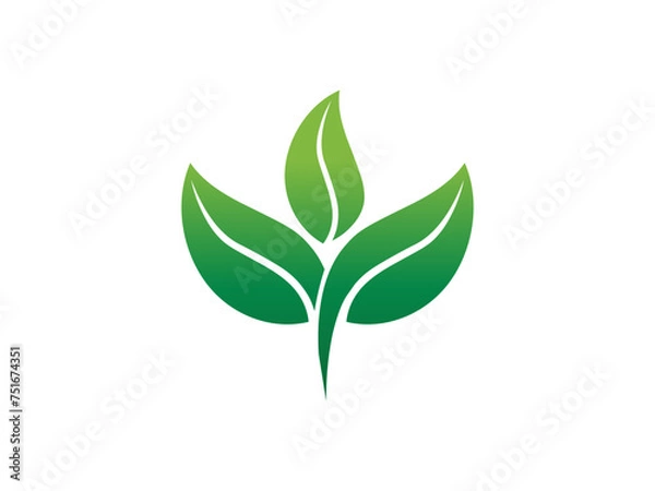 Obraz Leaf logo gradient colorful design. leaf logo vector