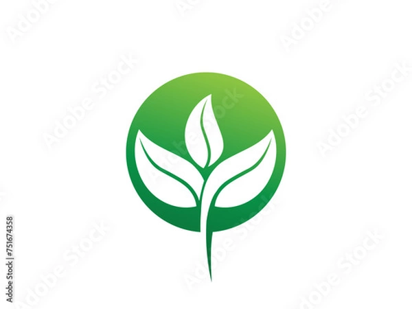 Obraz Leaf logo gradient colorful design. leaf logo vector