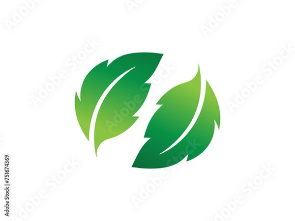 Obraz Leaf logo gradient colorful design. leaf logo vector