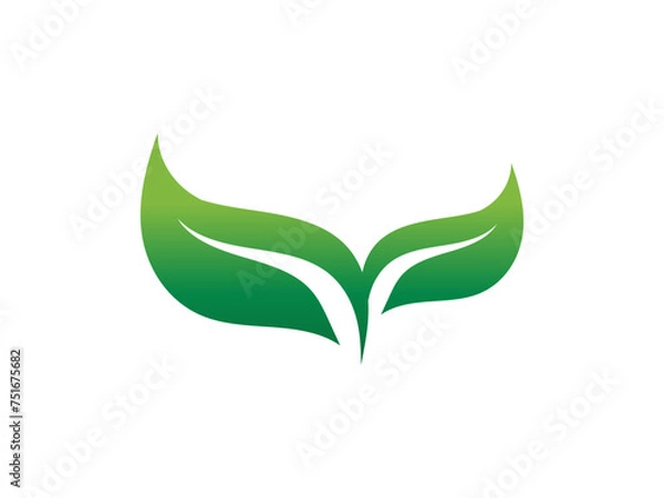 Obraz Leaf logo gradient colorful design. leaf logo vector