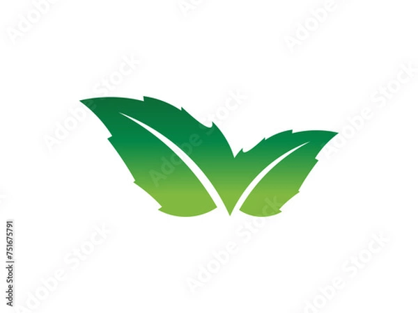 Obraz Leaf logo gradient colorful design. leaf logo vector