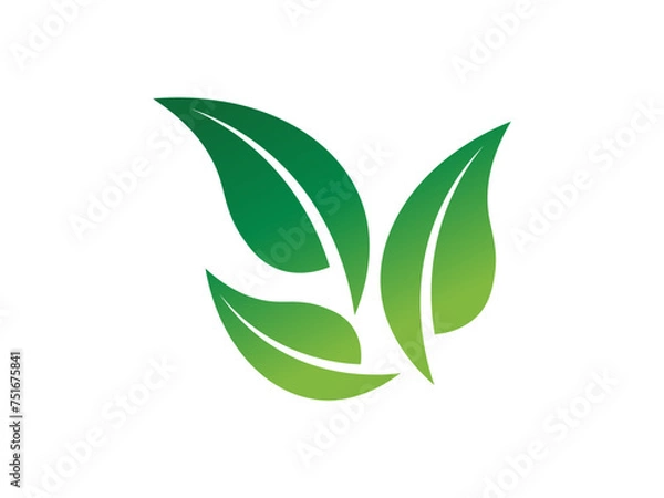 Obraz Leaf logo gradient colorful design. leaf logo vector