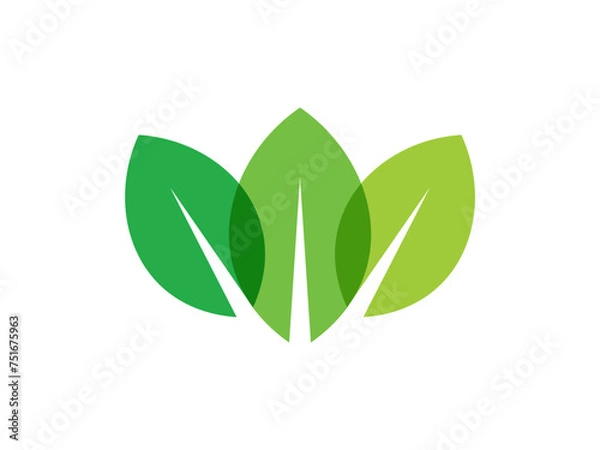 Fototapeta leaf logo transparent color. leaf logo vector