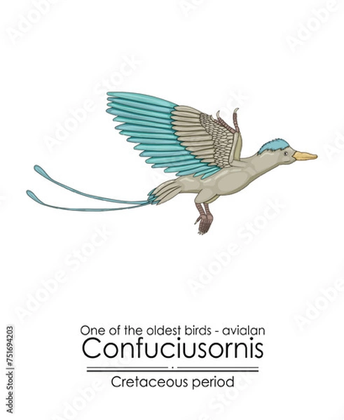 Fototapeta One of the oldest birds on Earth: Avialan - Confuciusornis from the Early Cretaceous Period.