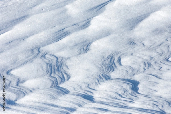 Obraz snow covered background