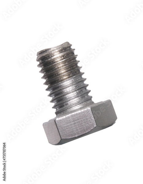 Obraz Screw isolated on transparent layered background.